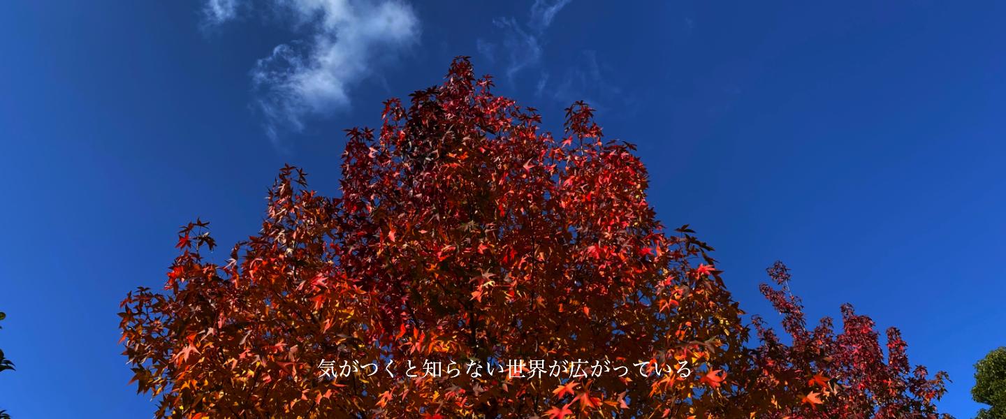 Main Visual